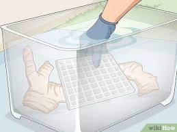 Maybe you would like to learn more about one of these? 3 Easy Ways To Preserve Driftwood Wikihow