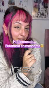 Hablar de eutanasia en mascotas nunca es fácil, pero es necesario 💜., Hoy  quiero mostrarles cómo este proceso, cuando se hace con amor y en el  momento indicado, puede ser un acto de compasión y ...