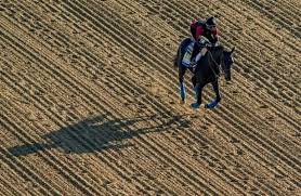The 2021 preakness stakes takes place later today and will be broadcast on nbc. Hdswk1fca Spum
