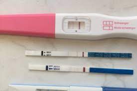 Zu welchem zeitpunkt urintest nach blastozystentransfer erziehungsberechtigte de. Wann Sst Positiv Bei Blastozystentransfer Forum Unterstutzter Kiwu Urbia De