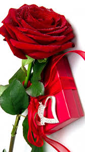 Red Rose Wallpaper Mobile Best Hd Wallpapers Happy Rose Day Wallpaper Red Rose Flower Rose Flower Wallpaper