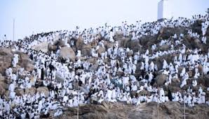 Di mulai dari tergelincirnya matahari tgl 9 dzulhijjah ,hingga terbit fajar hari nahr ( tgl 10 dzulhijjah ). Jelang Wukuf Di Arafah Ini Persiapan Yang Perlu Dilakukan Jemaah Haji Times Indonesia