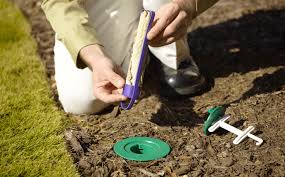 Get results from 6 search engines! Termite Control Inspection Removal And Prevention Services In Western Nc