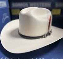 500X Tombstone Hats Chaparral/Sinaloa Falda 9 Copa Chica 7 1/2🇺🇸 | eBay