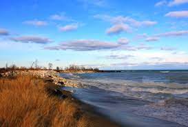 241 sites, power available, dumping available. Illinois Beach State Park Wikipedia