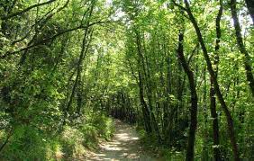 The park is a regional park (*), which extends for 6011 hectares and includes almost the entire promontory and the plain between it. Sirolo Ist Ein Badeort An Der Riviera Del Conero Marche Riviera Del Conero