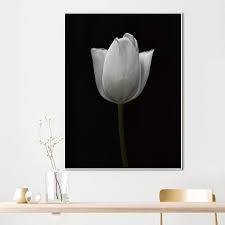 Get the best deal for black canvas floral art paintings from the largest online selection at ebay.com. Conisi Nordic Floral Wall Art Canvas Painting Print Black White Flowers Dandelion On Poster Home Decor For Livingroom Decoration Nordic Wall Decor