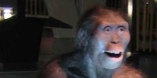 Lucy, la "grand-mère de l'Humanité", serait morte en tombant d'un arbre