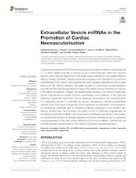 Anes boey is on facebook. Pdf Extracellular Vesicle Mirnas In The Promotion Of Cardiac Neovascularisation