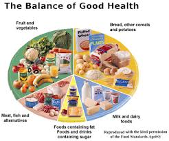 Kyani Inc Products Diabetes Diet Plan Diabetic Diet No Dairy Recipes