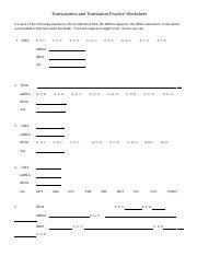 Show where transcription and translation are occurring make sure to label the dna and the rna (all three types!) Transcription And Translation Practice Worksheet 1 Doc Transcription And Translation Practice Worksheet For Each Of The Following Sequences Fill In Course Hero