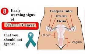 They usually last anywhere from 3 to 7 days each cycle. 8 Early Signs Of Ovarian Cancer You Shouldn T Ignore Step To Health