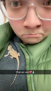 What's the best way to add humidity to our babies tank? Went to the vet  today and got antibiotics because of respiratory, the vet said everything  looked great with my tank and