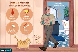 It may spread to the nearby seminal vesicles, the bladder, or further to the lymph nodes and the bones. Stage 4 Prostate Cancer Treatments And Prognosis