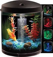 Spiffy Fish Products Fish Care Tips Like These Dwarf Frog Tank Ideas To Keep Your Aquatic Friends Happy Aquarium Kit Small Fish Tanks Aquarium Fish Tank