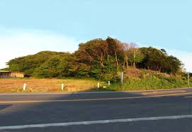 「内裏塚古墳」の画像検索結果