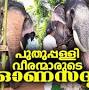 Puthuppally Elephants Official from www.youtube.com