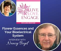 Using Flower Essences to Reset Your Bioelectrical System with Nancy Boyd