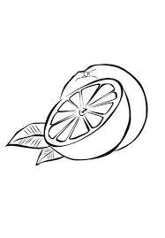 Printable lemon slices pdf coloring page. Slice Of Fresh Orange Fruits Coloring Page Kids Play Color Fruit Coloring Pages Orange Fruit Coloring Pages