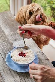 The Creamiest Rice Pudding Recipe Gemma S Bigger Bolder Baking Recipe In 2020 Rice Pudding Creamy Rice Pudding Pudding Recipes