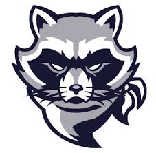 Raccoon Art Logo Animal Logo Logo Illustration