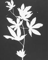 Bildergebnis für The Estate of Anwar Jalal Shemza