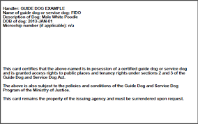 Our licensed therapists can evaluate you for the need for an emotional support animal and write a letter that will be accepted by airlines and landlords, the two entities required by the americans with disabilites act to accommodate service pets and support animals. Guide Dog Service Dog Team Certification Province Of British Columbia