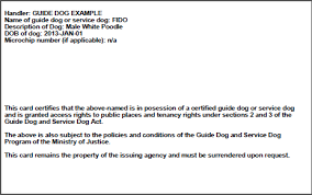 All kinds of animal companions serve as esas, but dogs are perhaps the however, some therapists are not familiar with esas or esa rules and do not feel capable of writing esa letters. Guide Dog Service Dog Team Certification Province Of British Columbia