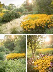 An Einem Wunderbaren Sommertag Im Letzen August Bin Ich Nach Dortmund In Den Westfalenpark Gefahren Ich Kenne De Garten Landschaftsbau Garten Garten Pflanzen