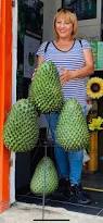 Image result for Annona muricata