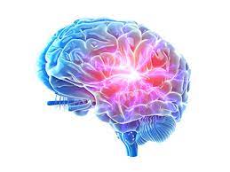 Sinusvenenthrombose als sinusvenenthrombose wird das auftreten von blutgerinnseln in den großen sammelvenen des. Sinusvenenthrombose Ursachen Symptome Behandlung Medlexi De