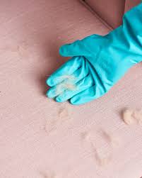 Pet hair gets all over everything it touches, including your car. How To Remove Pet Hair From Furniture Floors More Apartment Therapy