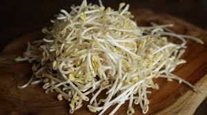 Faire Des Germes De Soja Dans Une Brique De Lait Cooking With Morgane Youtube Germe De Soja Cuisine Asiatique Brique De Lait
