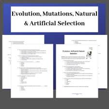 Evolution Natural Selection Artificial Selection Worksheet Or Quiz Science Lesson Plans Evolution Science Lessons