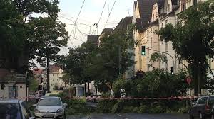 Dabei lokal steife böen bis 60. So Traf Das Unwetter Dusseldorf