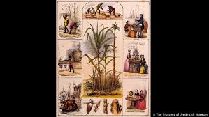 We did not find results for: Exploring Old And New Ideas On The Future Of Food Lifestyle Dw 16 06 2020