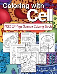 Vacuole grey storage of food, water, wastes and enzymes. All About Cells Free Printables And Resources Homeschool Giveaways