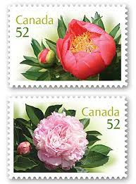 We did not find results for: Canada Post Collecting Postage Stamp Design Flower Stamp Stamp