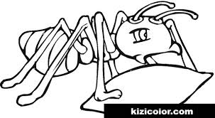 Download 160+ royalty free ant coloring page vector images. Ant Color Pages Free Print And Color Online
