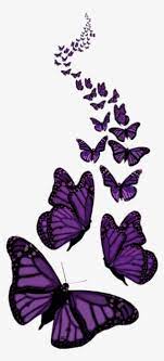 It is a very clean transparent background image and its resolution is 589x538 , please mark the image source when quoting it. Purple Butterfly Png Transparent Purple Butterfly Png Image Free Download Pngkey