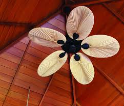 Image result for leaf ceiling fan