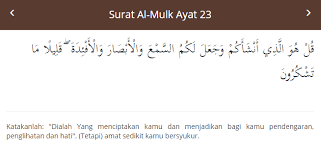 Maybe you would like to learn more about one of these? Sakit Gigi Laman Petua