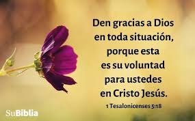 Esta fue la primera celebración de acción de gracias. 20 Oraciones De Agradecimiento A Dios En La Biblia Su Biblia