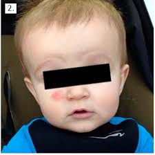 LIBRO DE PONENCIAS Y COMUNICACIONES