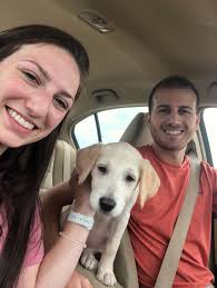 Ana Belshaw and Nick Anderson's Wedding Website