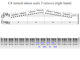 My dog always sits under the piano when i play 🥺 my most supportive fan 💕 does anyone else's pet do the same? Is This A Good Way To Learn To Read Sheet Music I Marked The Flats And Sharps With Highlighter And Keep The Notes Next To The Sheet Music Piano