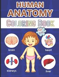 To purchase advertising space here, email us at: Human Anatomy Coloring Book For Kids Over 40 Human Body Coloring Pages Great Gift For Boys