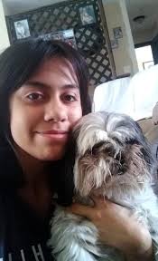 Missing Cat Rocco in Gardnerville Ranchos