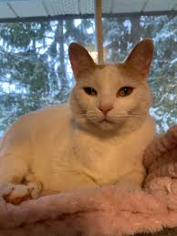 This Mommy loves this baby girl. Ella.