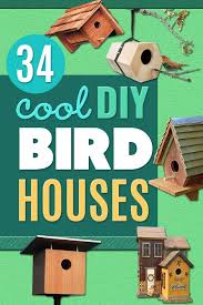 Bird House Kits For Adults Amazon 34 Diy Bird Houses Bird Houses Ideas Diy Bird House Kits Bird Houses Diy